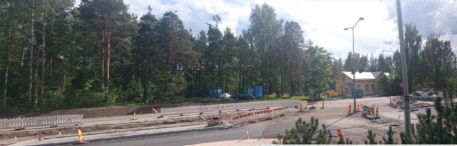 Uhanalaisille lajeille tai direktiivilajeille ei ole erityisen sopivaa elinympäristöä.