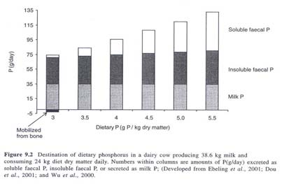 Dieetin fosforipitoisuus vaikuttaa fosforin jakautumiseen Fosforiruokinnan tarkastelu koeaineistossa (n=99) Keskim. S.D. Min. Max.