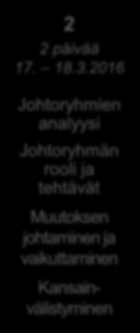 2016 Johtoryhmien analyysi Johtoryhmän rooli ja tehtävät Muutoksen johtaminen ja vaikuttaminen 3 19.