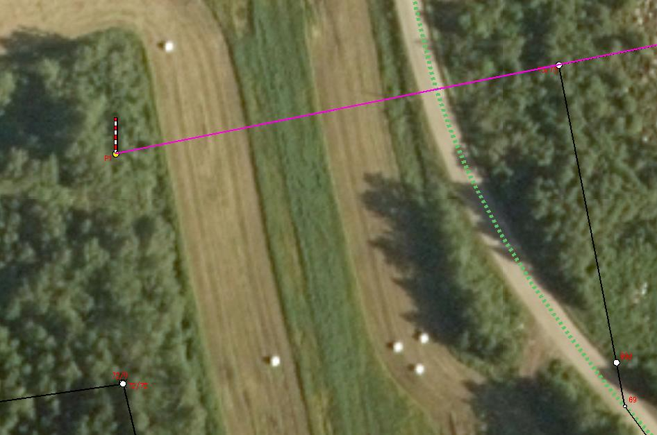19 Kuva 9. Kuva näyttää vanhan halkomiskartan rajamitan mukaisen pyykin 73 paikan. Vaaleanpunaisen viivan vasemmassa päädyssä P1 kuvastaa paikkaa, missä pyykin pitäisi sijaita rajamitan mukaan.