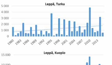 Kuopiossa raja on ylitetty kolmesti (2009, 2010 ja 2014), Imatralla kahdesti (2002 ja 2010) ja Helsingissä kerran (2010). siitepölysumma k = 29.