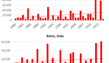 Koivun siitepölytietoja 2001 2015 Kausi alkaa keskimäärin Kohtalaisen pitoisuuden päiviä vuodessa Suuren pitoisuuden päiviä vuodessa Etelä- ja Lounais-Suomi 21.4. 23 16 Kaakkois- ja Keski-Suomi 26.4. 23 16 Länsirannikko (Vaasa, Oulu) 29.