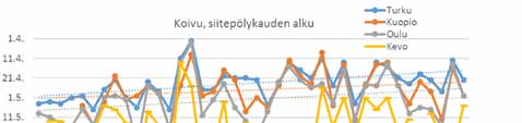 Koivu Koivu Suuren siitepölypitoisuuden päivien määrä (2006 2015) on Turussa ja Kuopiossa neljänneksen suurempi (+25 %; 14 17) kuin 1980-luvulla.