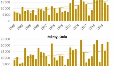 Huippupäivän pitoisuus on keskimäärin 3 000 4 000 hiukkasen tuntumassa Etelä-Lappiin saakka.