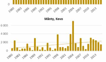 Huippuvuodet ajoittuvat 2000- ja 2010-luvuille. Turussa ja Kuopiossa kesän siitepölysummat nousivat ensimmäistä kertaa yli 20 000 vuonna 2002. Oulussa raja ylitettiin jo vuonna 1994.
