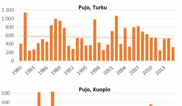 Kuinka voimakkaasti järviruoko kukkii vaikuttaa lähes kuukaudella huippupäivän ajoittumiseen.