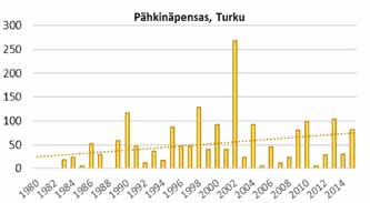 Suurimmat pitoisuudet on mitattu Helsingissä ja Turussa, jossa vuosien 2011 2015 aikana siitepölysummat ovat nousseet keskimäärin 50 tuntumaan.