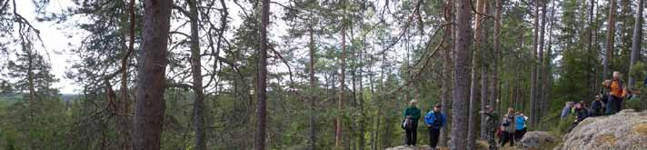 Onneksi maassamme toimii edelleen useita luontokouluja. Myös Luonto-Liitto järjestää joka kesä runsaasti erilaisia luontoleirejä ja partiokin on vielä voimissaan.