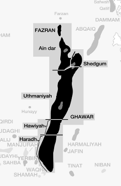 The Old Royal Family Of Saudi Arabian Oil