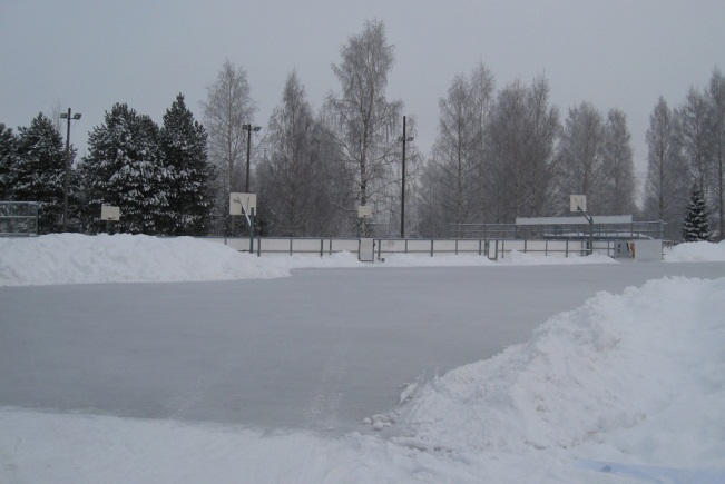 Alue on puistomainen suurine puuryhmineen, jotka jäsentävät aukeita