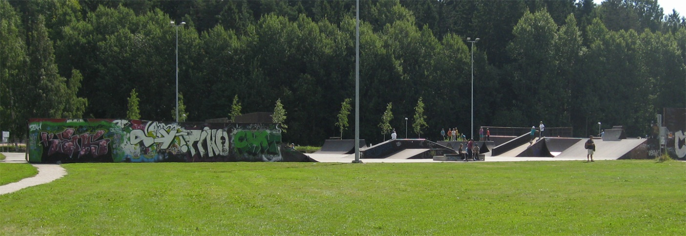 KUVIO 20. Nuoret ovat ottaneet Freestyleparkin haltuun. (Sanna Liukkonen, 13.8.2011.) Tyttöjen puistoon on sijoitettu erilaisia tyttöjen ideoimia ja toivomia keinuja (katso kuviot 21 ja 22).