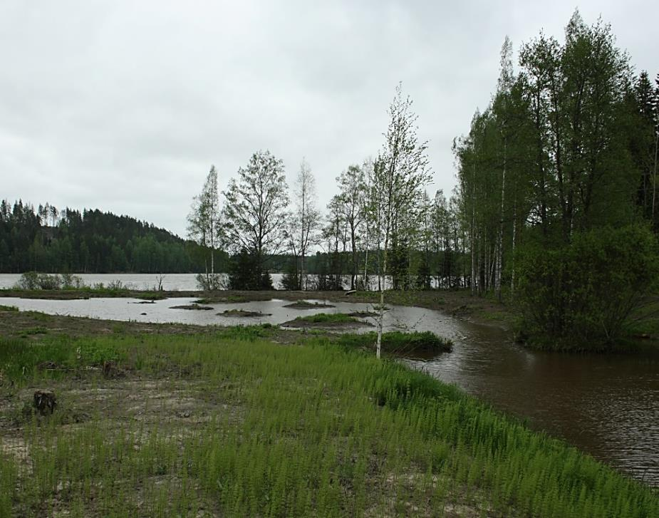 Kosteikot Suuren osan vuodesta veden peitossa tai kosteana pysyvä ojan, puron tai joen osa ja sen ranta-alue. Runsaasti luonnonvaraisia kostean paikan kasveja.