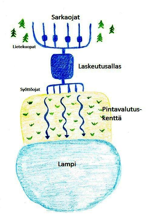 Pintavalutuskenttä Pintavalutuskenttiä käytetään lähinnä metsäojitusten yhteydessä Pidättää tehokkaasti kiintoainetta ja ravinteita Vesi johdetaan ojitusalueelta jako-ojien avulla tasaisesti