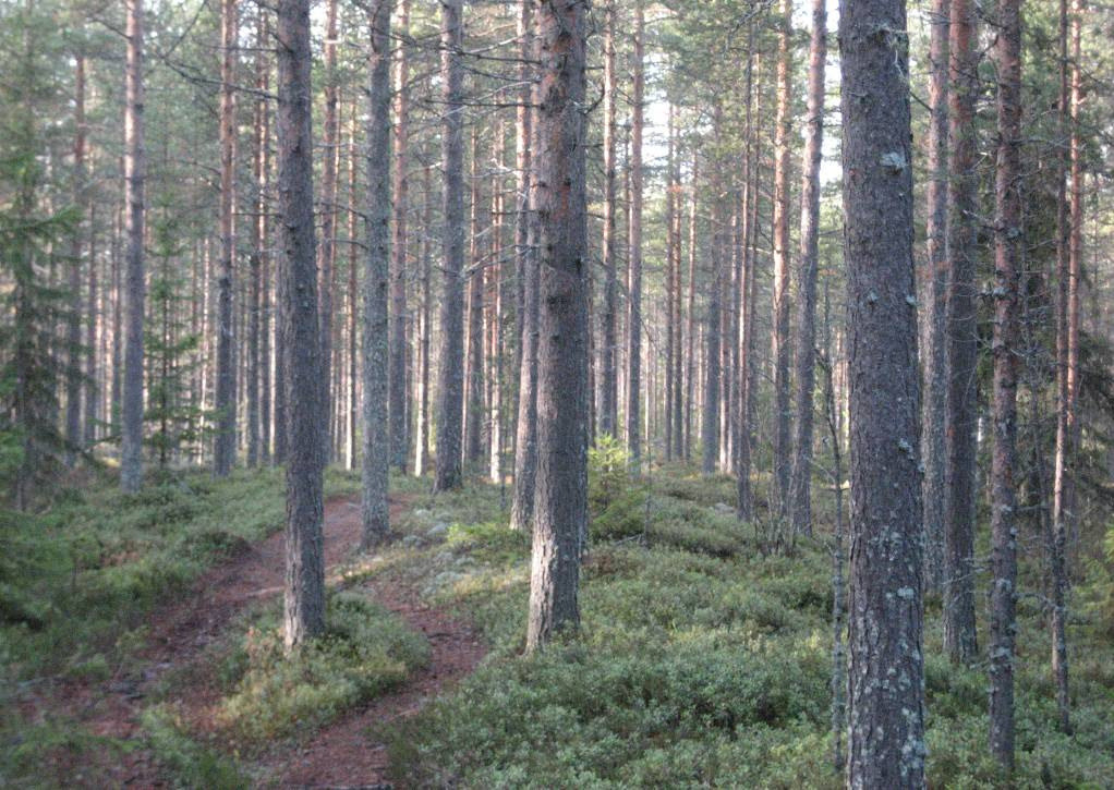Luoteista lisäaluetta halkoo alueen päävedenjakaja, joka kulkee Niilesjärven ja Valkiaisjärven välistä Hiukkavaaran läpi kohti Rannanperää ja edelleen kohti Ala- Haapalehtoa.