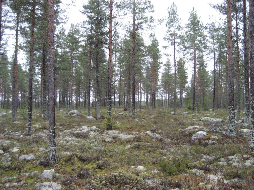 16 4.5. Merkittävät kohteet Tutkimusalueella ei sijaitse valtakunnallisesti arvokkaita maisemakokonaisuuksia eikä arvokkaita perinnemaisemia.