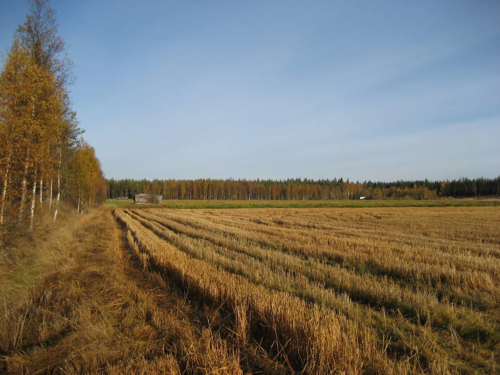 Avoimet alueet Hiukkavaara on suurimmaksi osaksi loivapiirteistä metsämaata. Maisematila on suljettua, joten harvat avoimena säilyneet alueet ovat paikallisesti merkittäviä.