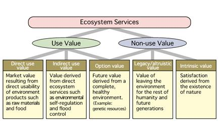 Ecosystem Service Value Provisioning service: sawlogs, mushrooms, bioenergy Cultural service: recreation, spiritual connection Regulating service: climate regulation,