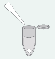 ja/tai immunoblottaus Kuvantaminen ja tulosten analysointi Näyte-cocktail