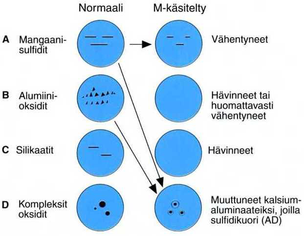 3 OVAKON M-TERÄS Ovakon M-teräkset ovat kalsium (Ca) -käsiteltyjä alumiinilla (Al) -tiivistettyjä teräksiä, joiden hyvien lastuttavuusominaisuuksien perustana on tarkalla valmistusmenetelmällä