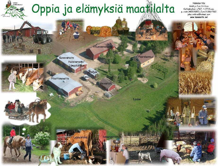 YHTEISTYÖ KOULUN ULKOPUOLISEN OPETUKSEN KANSSA Kuntarallin tapahtumissa etsitään yhteyksiä yhdistyksiin, yrityksiin ja osaajiin, leirikoulumajoitusta tarjoaviin leirikeskuksiin yms.