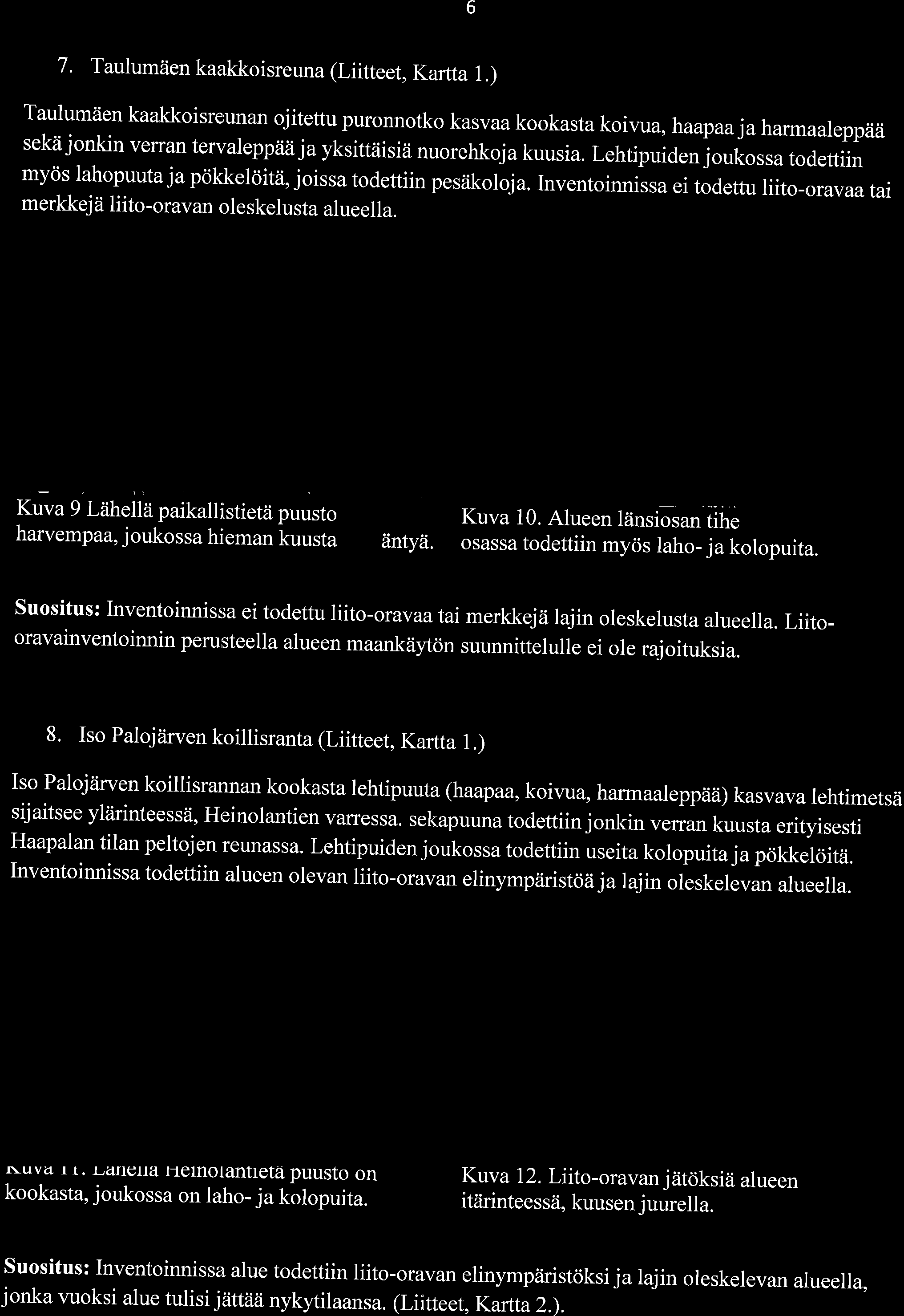 Lehtipuiden jukssa tdettiin mycis lahpuuta ja pdkkelditii, jissa tdettiin pesiiklja. Inventinnissa ei tdettu liit-ravaa tai merkkejii liit-ravan leskelusta alueella.