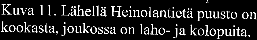 Susitus: Inventinnissa ei tdettu liit_ravaa tai merkkejii lajin leskelusta alueella. Liit_ ravainventinnin perusteella alueen maankiiytn suunnittelulle ei le raiituksia. 8.