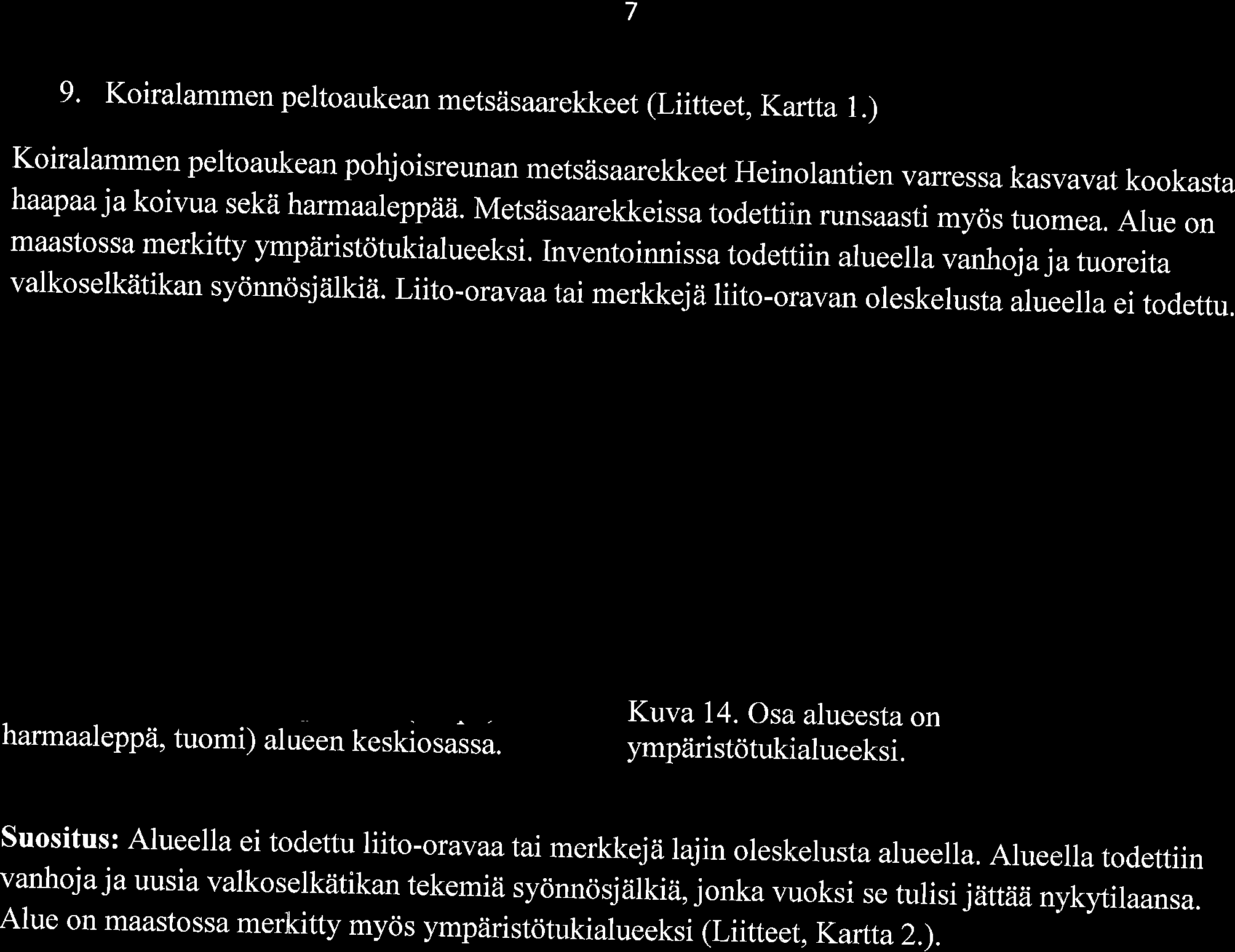 7 9. Kiralammen peltaukean metsiisaarekkeet (Liitteet, Kartta 1.) Kiralammen peltaukean phjisreunan metstlsaarekkeet Heinlantien valressa kasvavat kkasta haapaa jakivua sekii harmaaleppiiti.