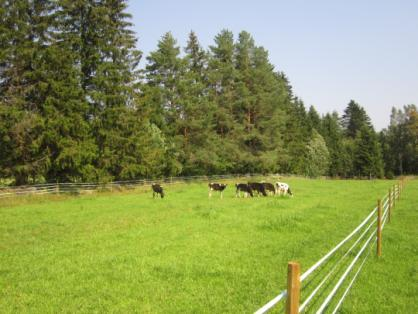 42 KUVA 5. Kun Ympärysaidat tekee kerralla kunnolla kestävistä materiaaleista, säästää tulevina vuosina rahaa työajan vähentyessä. (Kuva, Tiitinen, A. 2012).