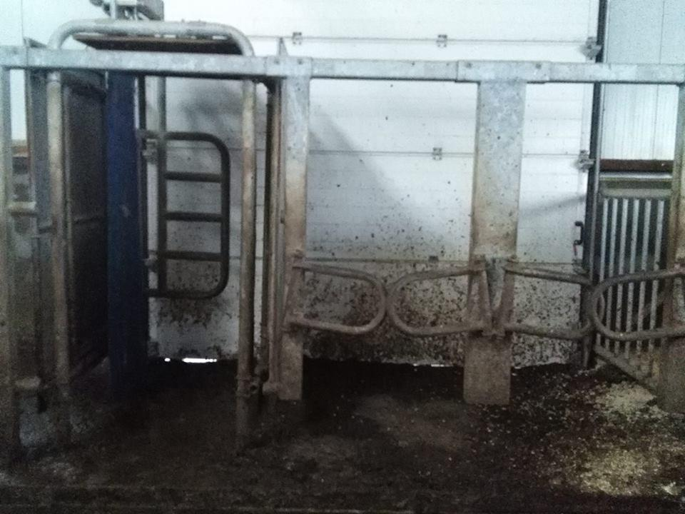 29 Kuva 1. DeLavalin laidunportti. Kuvassa 1 on tilan käyttämä DeLavalin laidunportti. Älyportti tunnistaa lehmät niiden elektronisten korvamerkkien avulla.