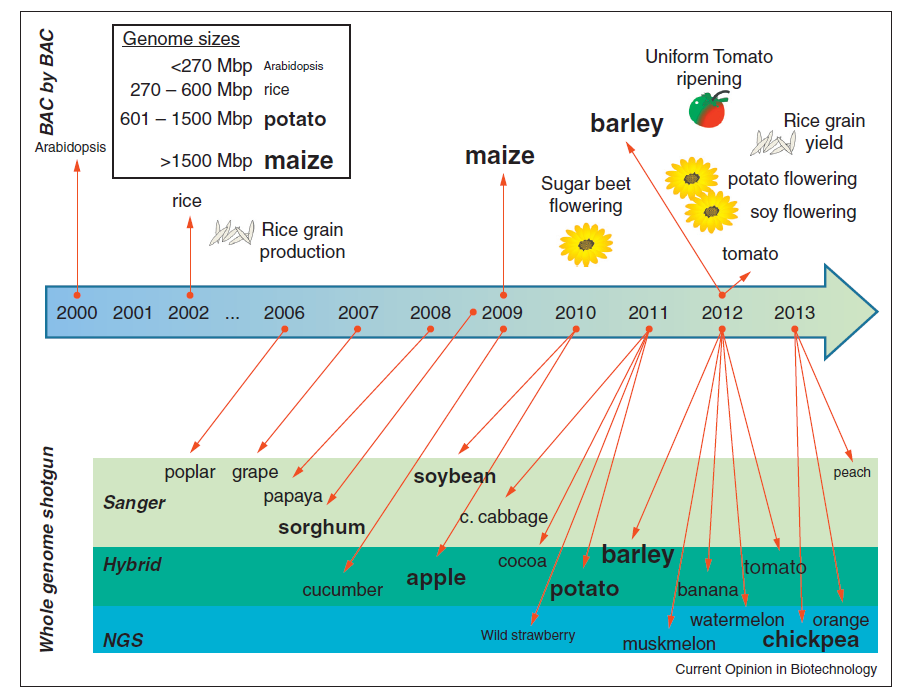 Kuva 2. Kasvigenomien sekvensoinnin ja niistä johdettujen sovellusten aikajana (Bolger ym. 2014). Kuvasta näkyy genomin sekvensointivuosi, laji ja käytetty tekniikka.