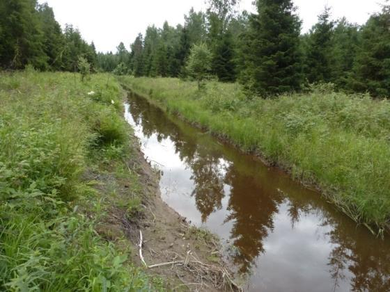 Uksjoen kunnostuksen ongelmia Vedenlaatu- ja liettymishaitat