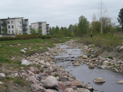 uomaosuus 2010: paikallisten ja merestä Vantaanjokea nousseiden