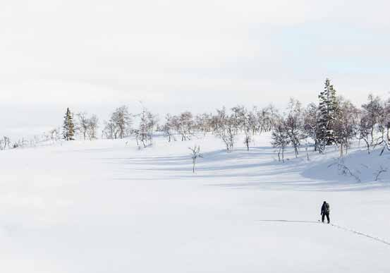 Lassin laturetki Olen harrastanut viime talvina hiihtämistä. Minulta löytyvät nykyaikaiset pitopohjasukset. Meiltä Auroranportista on hyvät yhteydet laduille Oittaalle.