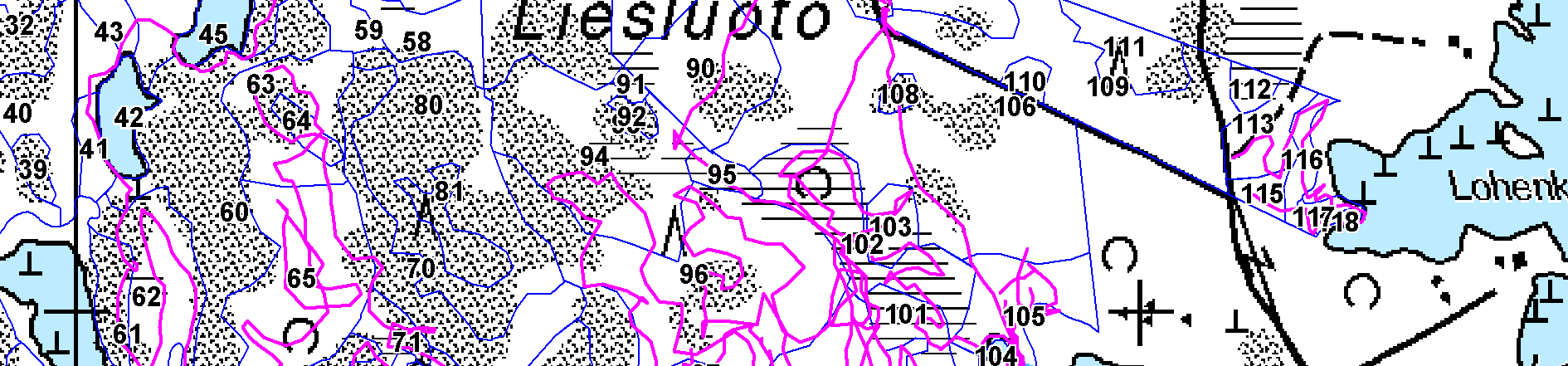 Lajisto Liesluodossa tavattiin tässä kartoituksessa yhteensä 7 sammallajia, joista 6 on lehtisammalia ja 9 maksasammalia. Suojeltavia lajeja havaittiin 5.