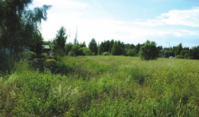 KOHDEKOHTAISET SUUNNITELMAT 40. TAPANINKYLÄNTIEN VARSI (Sidekuja, Kotinummentie) Viheralue sijaitsee asutuksen ja vilkasliikenteisen tien välissä.