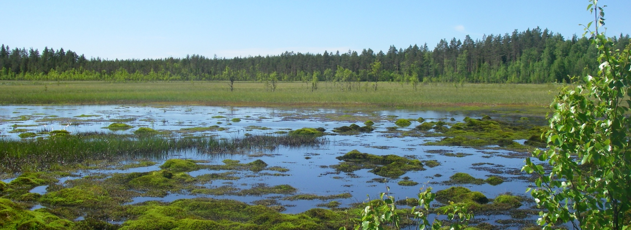 Täyttyvätkö Suomen järvet?