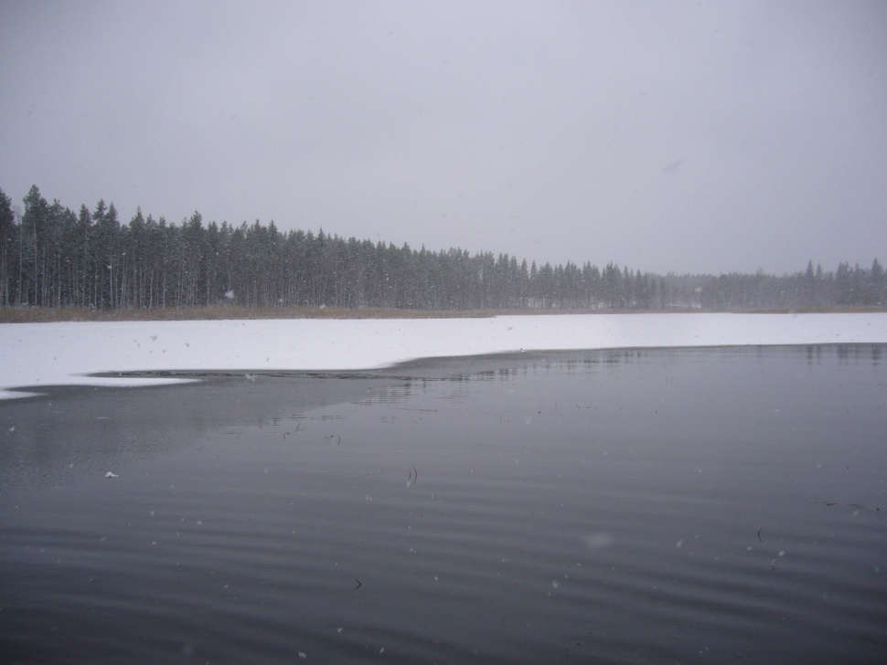 Suomen järvet Suomessa on 187 888 järveä (> 5 a) Näistä 56 000 alaltaan yli 1 ha,