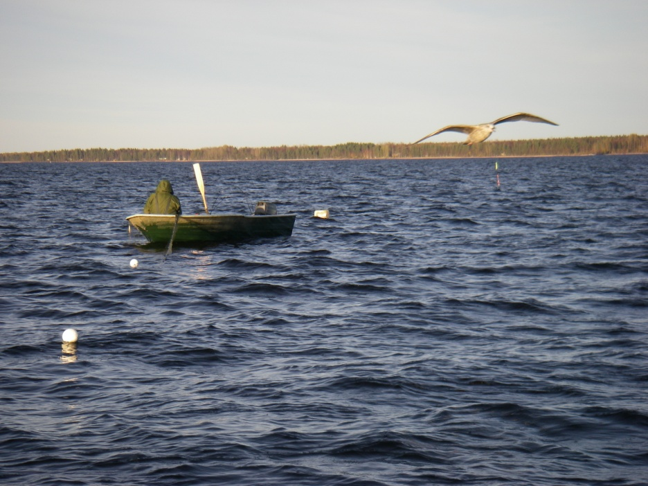 pinta-ala noin 33 350km 2 Yli hehtaarin kokoisten järvien tilavuus noin 235 km 2