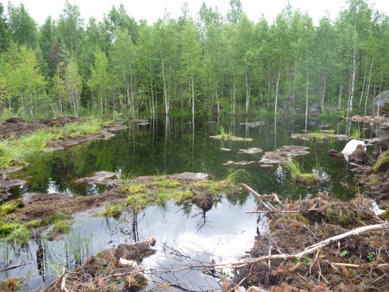 Suomen järvet täyttyvät! huoli ja vilkas keskustelu Siirtyvätkö suot järviin?