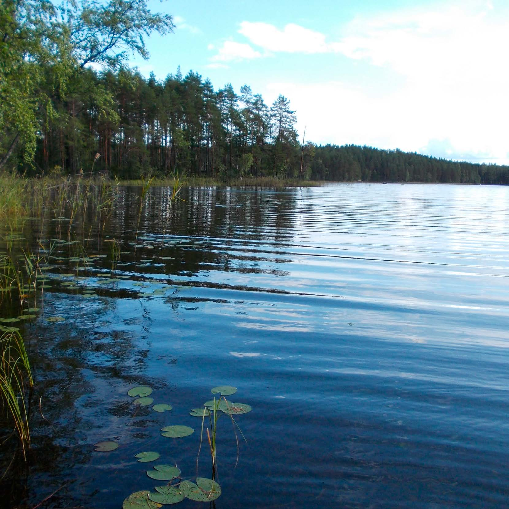 RAPORTTEJA 3 2017 Ympäristön tilan seurantaohjelma