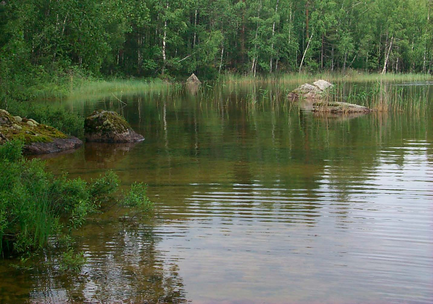 3. Hydrologinen seuranta 3.1. Hydrometeorologinen seuranta (hanke XC02111) Kokonaisuus käsittää kolme suuretta: aluesadanta, lumen vesiarvo ja haihdunta.