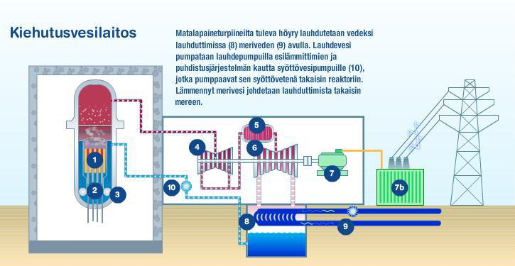 4 Suomen neljästä nykyisestä ydinvoimalasta kaksi, Olkiluoto 1 ja 2, on ruotsalaisvalmisteisia kiehutusvesireaktoreita (BWR = Boiling Water Reactor). Kiehutusvesireaktorissa jäähdytysvesi kiehuu n.