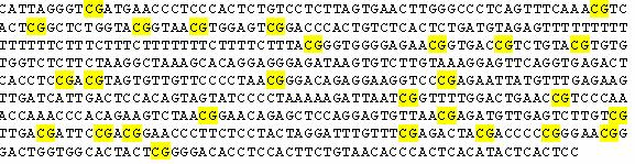 Saarekkeen GC-pitoisuus on 51 %. Kuvassa 5.3. on esitetty tutkimuksen kohteena oleva alue DQA1-geenin promoottorista ja siinä olevat CpG-dinukleotidit. Kuva 5.2.