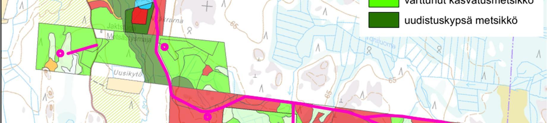 2 Töniluoman puronvarsikuusikko Valtaosin vanhassa, luonnontilaisen kaltaisessa tuoreen kankaan (MT) kuusikossa mutkitteleva Töniluoma saa alkunsa Tönijärvestä.