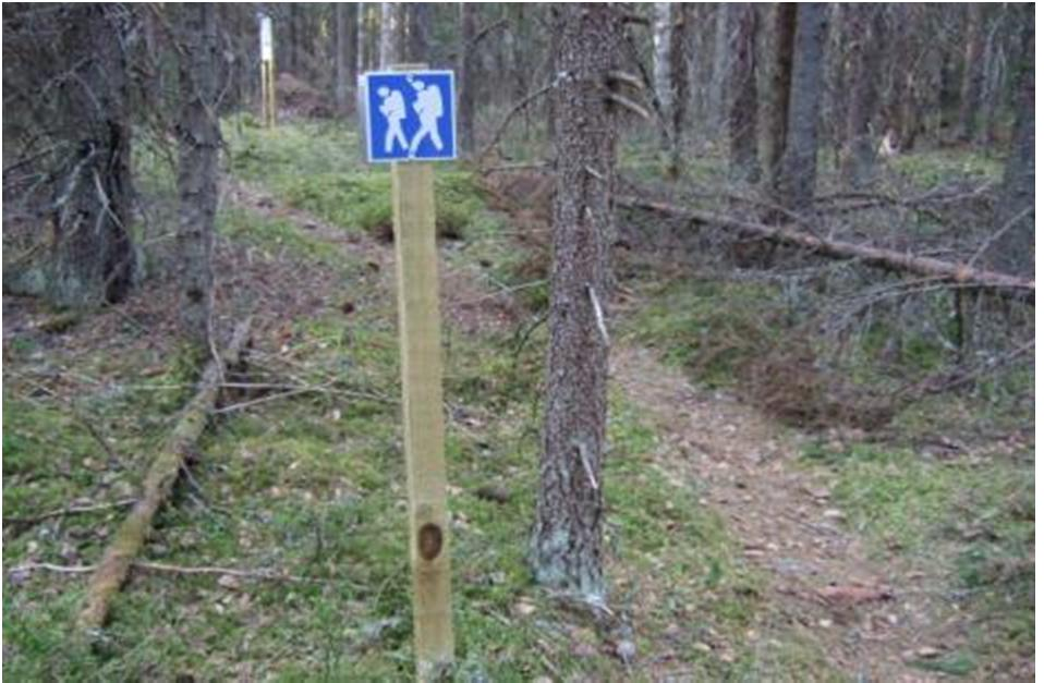 6.7 Uhanalaiset eliölajit Tehtyjen luontoselvitysten mukaan rakentamisalueilla ei sijaitse luonnonsuojelulain tai metsälain mukaisia suojeltavia kohteita eikä niillä sijaitse rauhoitettuja tai