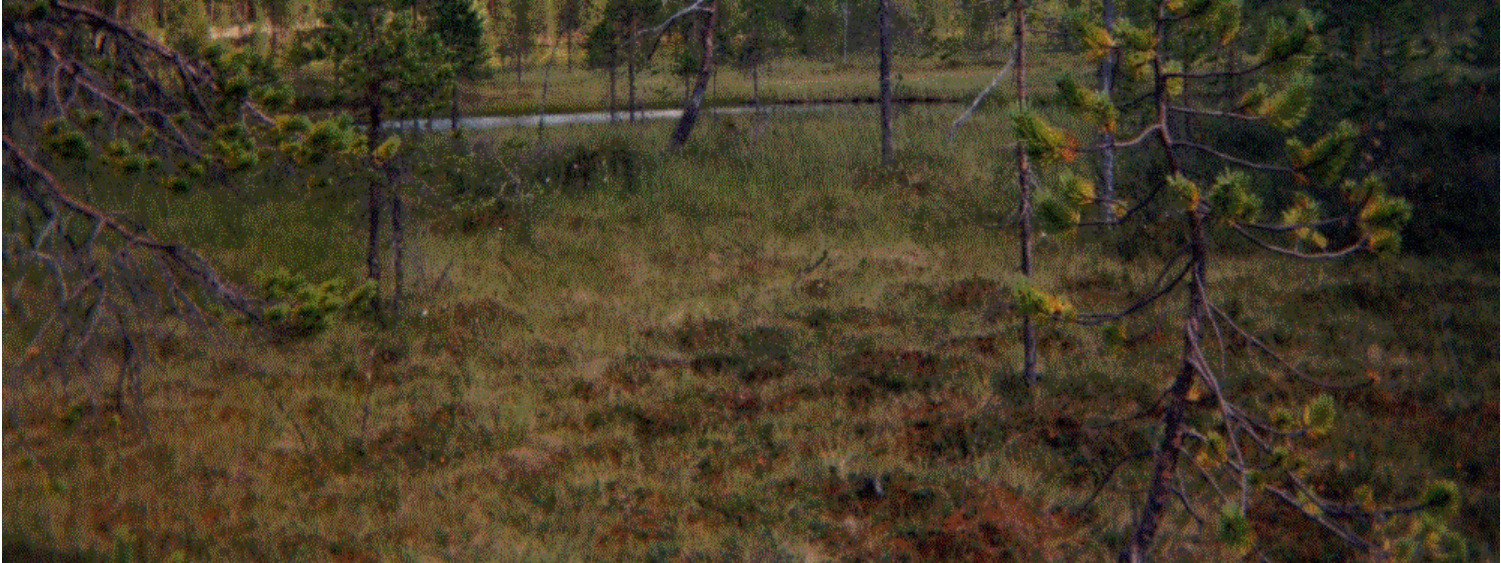 pintavalutuskenttä Vesi johdetaan pinnaltaan luonnontilaiselle