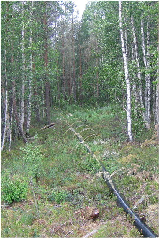 Lisäksi tutkitaan ojitettujen suoalueiden soveltuvuutta turvetuotannon valumavesien