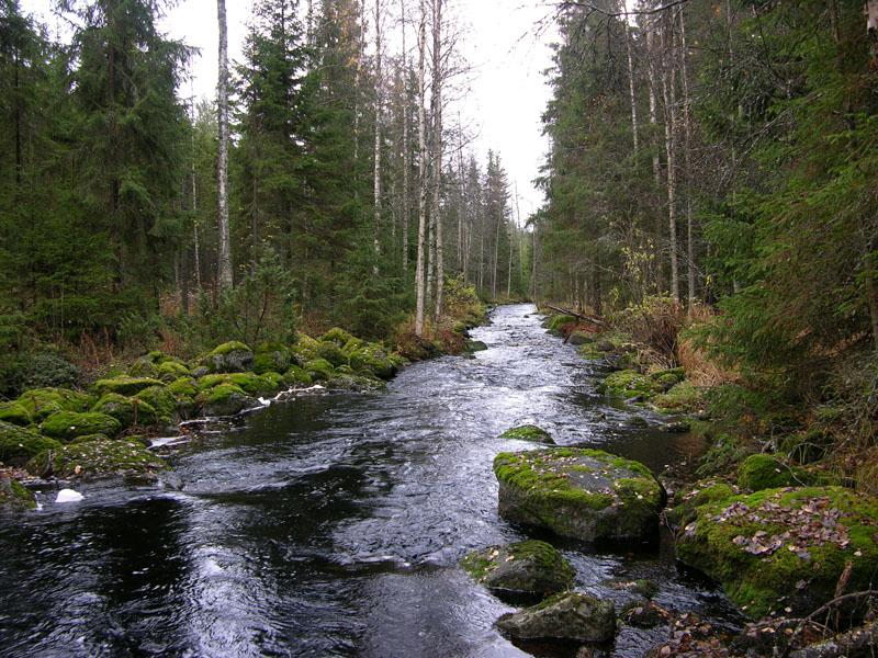 Kiitos!