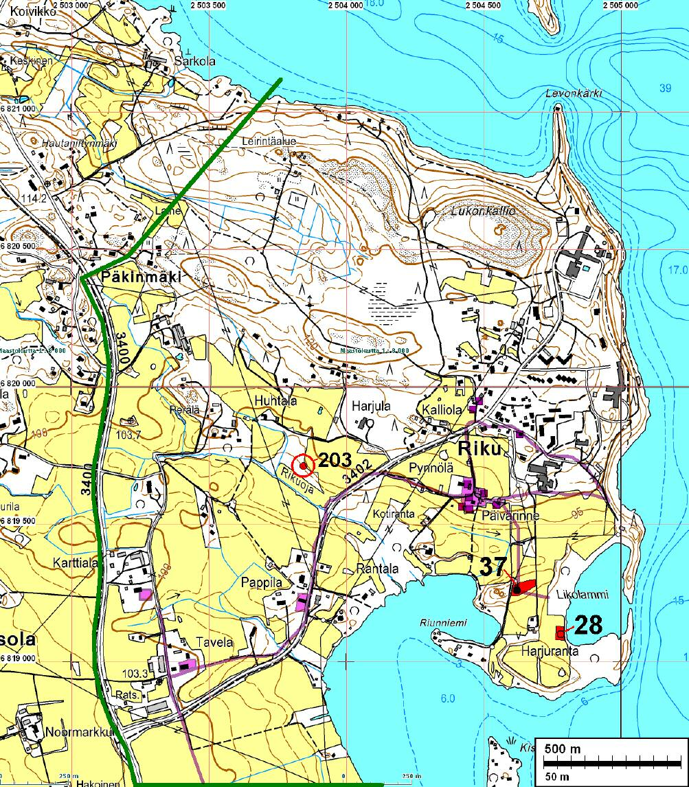 3 Maastokartta Muinaisjäännökset nro 38 ja 37 merkitty punaisella. Kivikautinen löytöpaikka 203 punainen piste. Tutkimusalueen rajaus vihreä viiva.