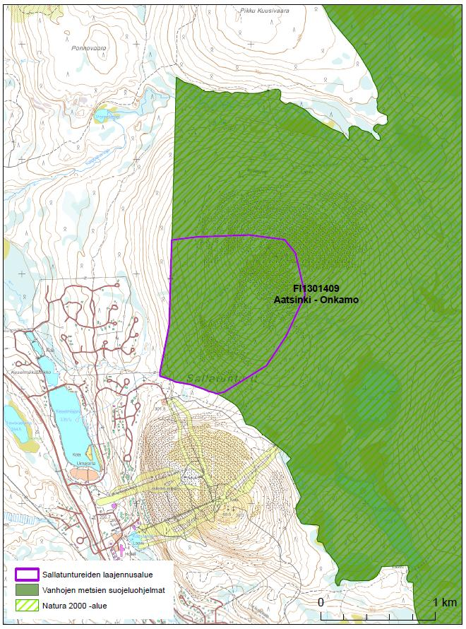 7 4. AATSINKI-ONKAMON NATURA-ALUE (FI1301409) 4.1 Natura-alueen nykytila ja suojeluarvot Aatsinki- Onkamon Natura-alue on tärkeä suo- ja vanhan metsän kohde, jonka kokonaispintaala on 9 746 ha.
